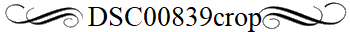 DSC00839crop